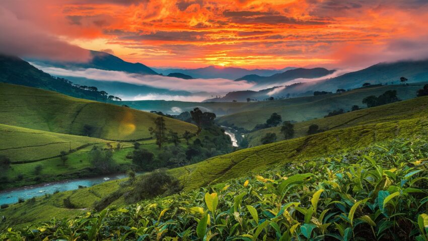 munnar