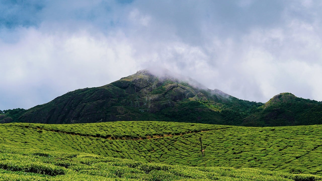 Kerala Travel News